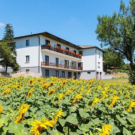 Gasthof-Pension Wein Breitenbrunn  Zewnętrze zdjęcie