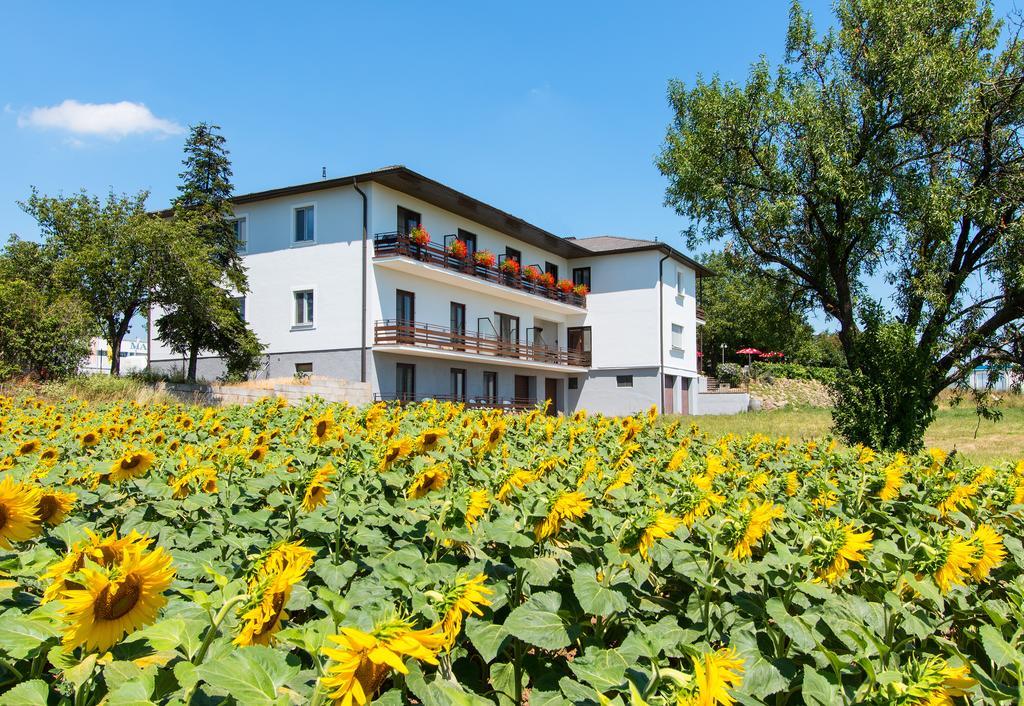 Gasthof-Pension Wein Breitenbrunn  Zewnętrze zdjęcie