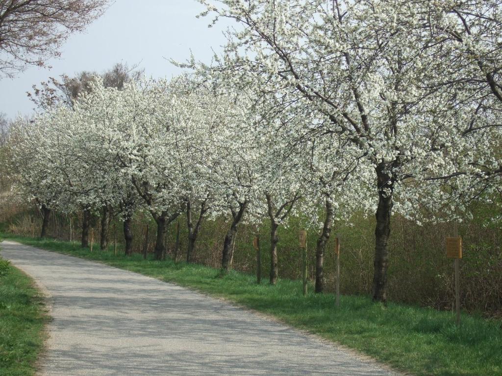 Gasthof-Pension Wein Breitenbrunn  Zewnętrze zdjęcie